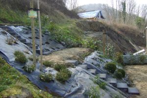 jardin11