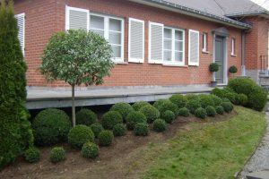 jardin25