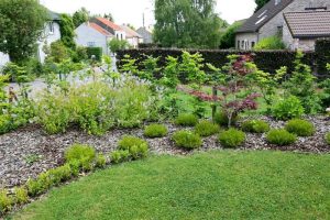 jardin3