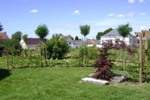 jardin5